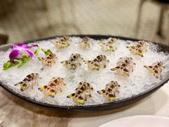 -富来美食(成发大厦店)