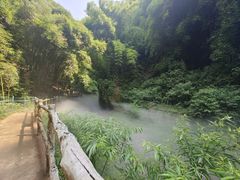 -川西竹海景区