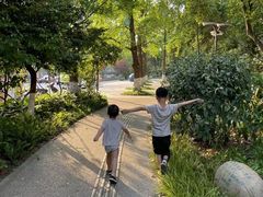 -成都市活水公园