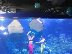 -蓬莱欧乐堡海洋极地世界