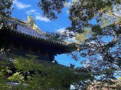 -北京国子监胡同