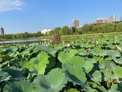 -西海子公园