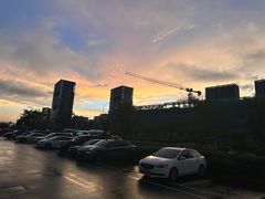-MEDISN·药厂