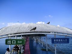 -海驴岛(荣成市)