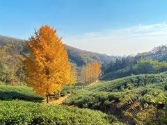 -南山风景名胜区
