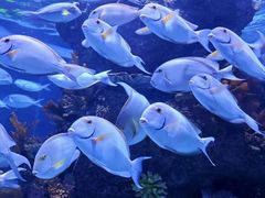 -成都浩海立方海洋公园