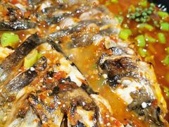 -青炉里青花椒鲜活烤鱼(理工大店)