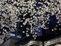 -玛格萝妮比萨屋(四平店)