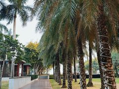 -三亚海棠湾万丽度假酒店