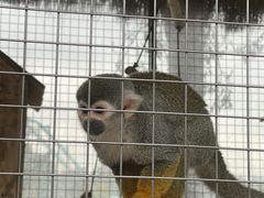 -水上乐园·欢乐世界