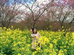 -天适樱花悠乐园