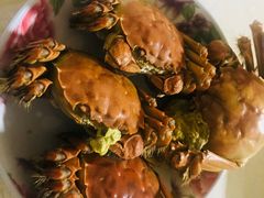 -丫丫蟹庄·苏式园林农家乐·阳澄湖大闸蟹(阳澄湖莲花岛店)