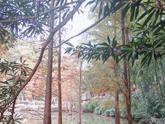 -云溪植物园