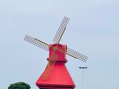 -杭州湾海上花田景区