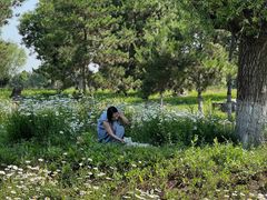 -汉长安城未央宫国家考古遗址公园