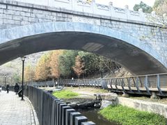 -白水寺森林公园