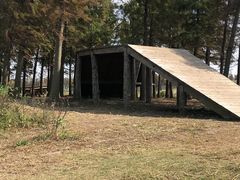 -春花秋色城市公园