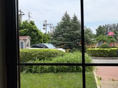 -普兰达德国餐厅·德式脆皮烤猪肘·自酿啤酒(观唐店)