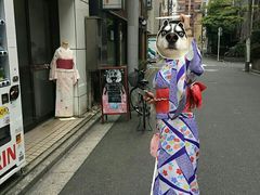 -东京浅草和服体验江户和装工房雅(浅草本店)