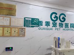 -乖乖宠物医院·猫科·骨科·24小时(云岗分院)