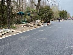 -东平国家森林公园