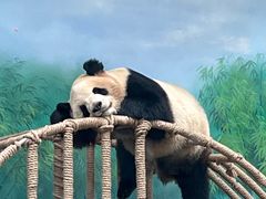 -杭州动物园