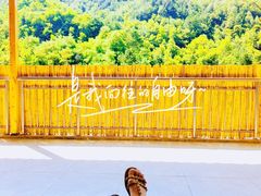 -王顺山国家森林公园