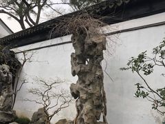 -拙政园
