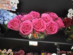 -角门西(地铁站)