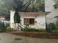 -广东紫坭糖厂(桥头路)