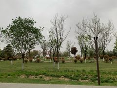 -汉长安城未央宫国家考古遗址公园