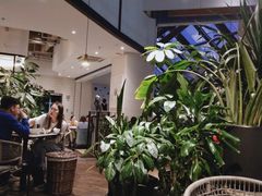 -大树餐厅(红旗街万达店)