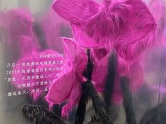 -X88商场(铜仁路店)