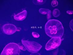 -哈尔滨波塞冬海底世界
