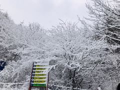 -秦岭风景区
