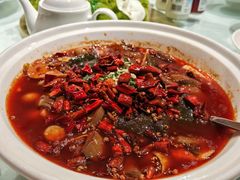 -渝信川菜 · 川味家常菜(财富购物中心店)