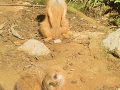 -云南野生动物园