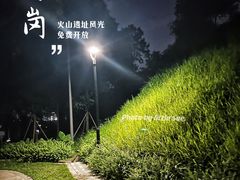 -王借岗森林公园