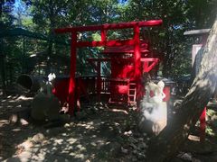 -宫城藏王狐狸村