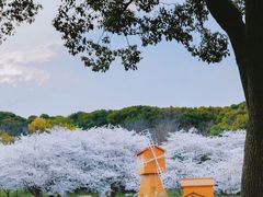 -苏州上方山国家森林公园