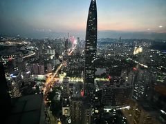 -深圳市当代艺术与城市规划馆