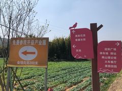 -黄埔油麻山森林公园