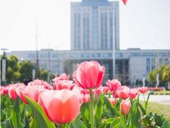 -江南大学(蠡湖校区)