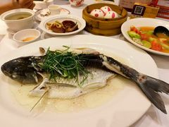 -稻香酒家·35年老字号(侨光店)