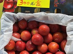 -油麻地果栏
