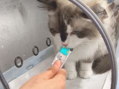 -中农国际动物医院24小时·猫科·骨科·急重症中心