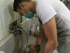 -酷狗靓猫宠物·洗护·美容·寄养(航北路店)