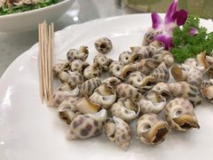 白灼花螺-四海之家(蛇口店)