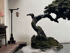 大堂-觀芷隐轩