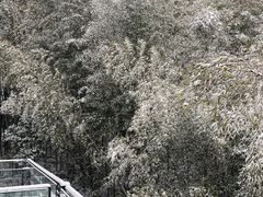 -天目湖涵田度假村